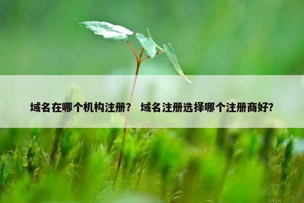 域名在哪个机构注册？ 域名注册选择哪个注册商好？