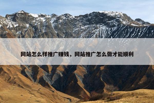 网站怎么样推广赚钱，网站推广怎么做才能顺利