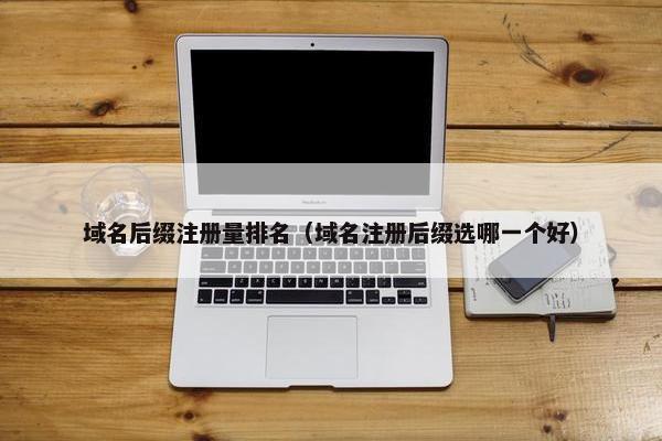 域名后缀注册量排名（域名注册后缀选哪一个好）
