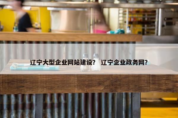 辽宁大型企业网站建设？ 辽宁企业政务网？