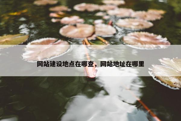 网站建设地点在哪查，网站地址在哪里