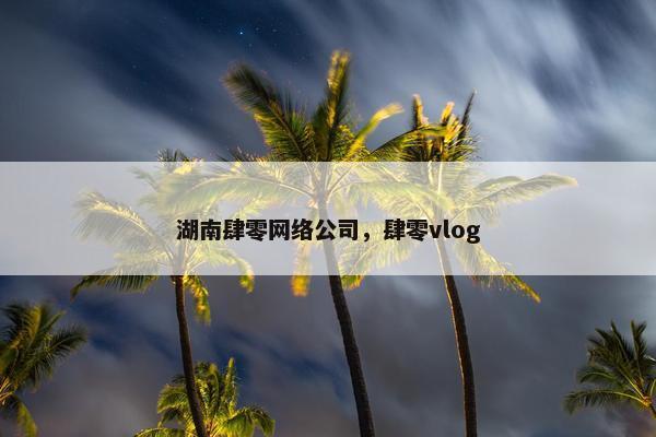 湖南肆零网络公司，肆零vlog