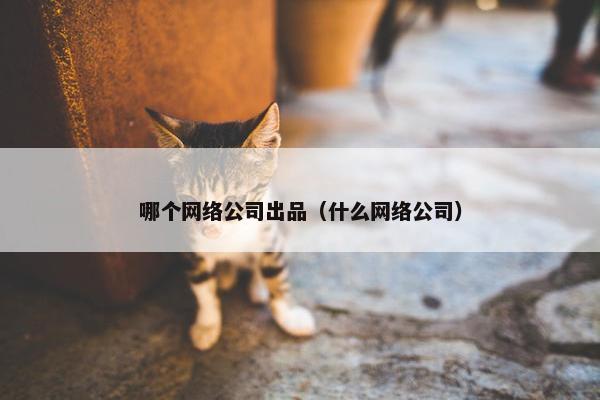 哪个网络公司出品（什么网络公司）