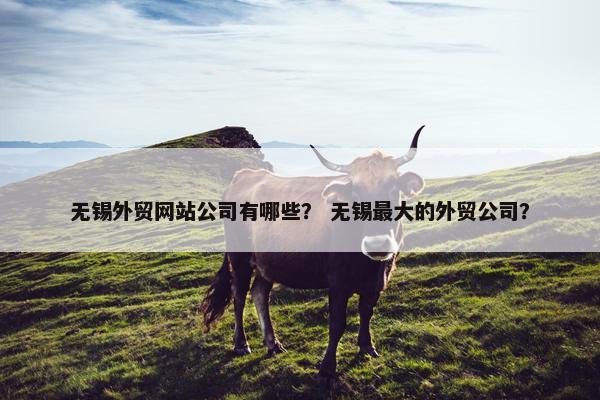 无锡外贸网站公司有哪些？ 无锡最大的外贸公司？