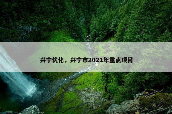 兴宁优化，兴宁市2021年重点项目