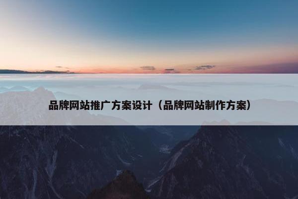 品牌网站推广方案设计（品牌网站制作方案）