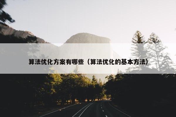 算法优化方案有哪些（算法优化的基本方法）