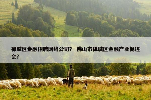 禅城区金融招聘网络公司？ 佛山市禅城区金融产业促进会？