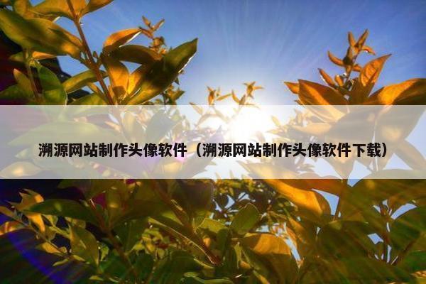 溯源网站制作头像软件（溯源网站制作头像软件下载）