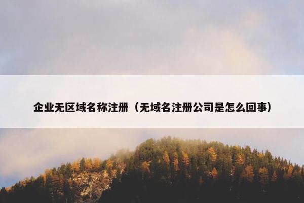 企业无区域名称注册（无域名注册公司是怎么回事）