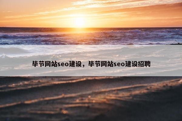 毕节网站seo建设，毕节网站seo建设招聘