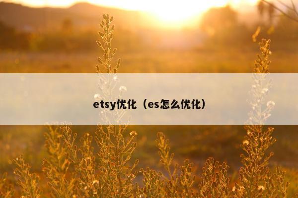 etsy优化（es怎么优化）