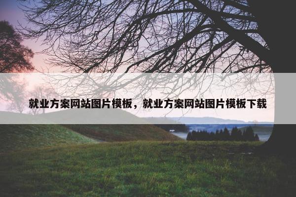 就业方案网站图片模板，就业方案网站图片模板下载