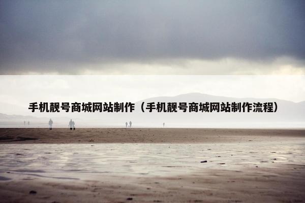 手机靓号商城网站制作（手机靓号商城网站制作流程）