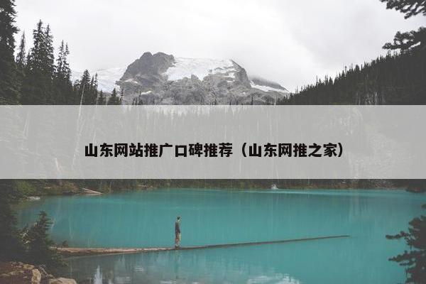 山东网站推广口碑推荐（山东网推之家）