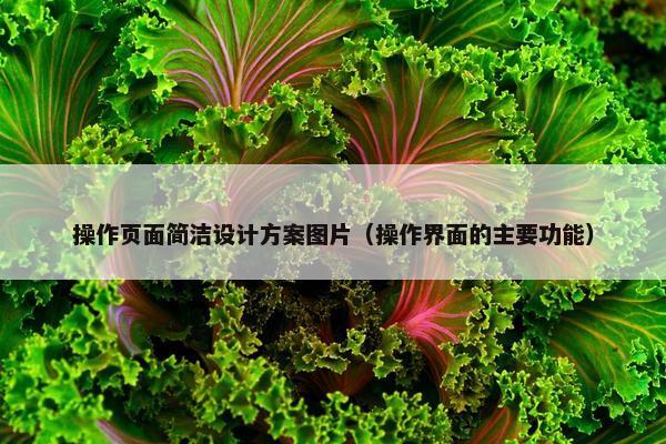 操作页面简洁设计方案图片（操作界面的主要功能）