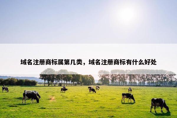 域名注册商标属第几类，域名注册商标有什么好处