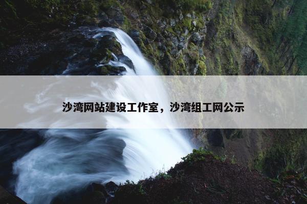 沙湾网站建设工作室，沙湾组工网公示