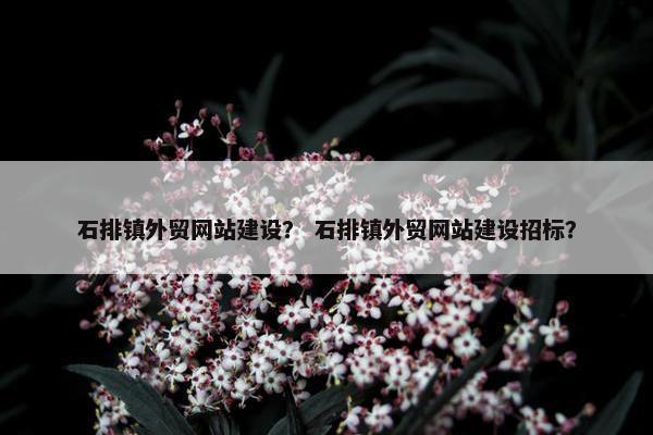 石排镇外贸网站建设？ 石排镇外贸网站建设招标？
