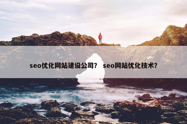 seo优化网站建设公司？ seo网站优化技术？
