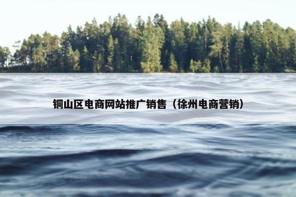 铜山区电商网站推广销售（徐州电商营销）