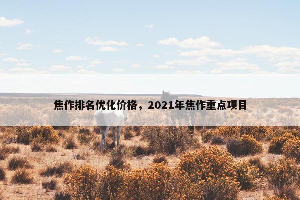 焦作排名优化价格，2021年焦作重点项目