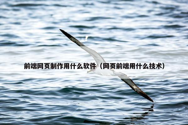 前端网页制作用什么软件（网页前端用什么技术）