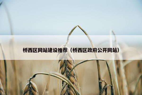 桥西区网站建设推荐（桥西区政府公开网站）