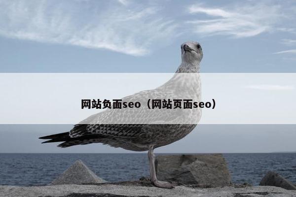 网站负面seo（网站页面seo）