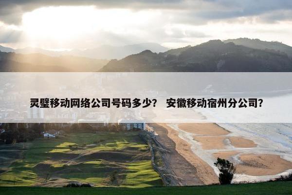 灵璧移动网络公司号码多少？ 安徽移动宿州分公司？