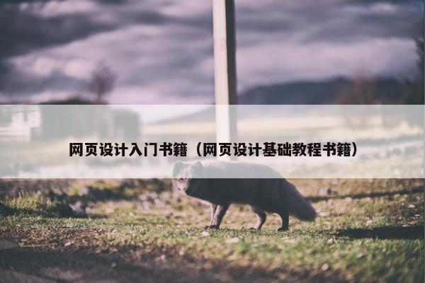 网页设计入门书籍（网页设计基础教程书籍）