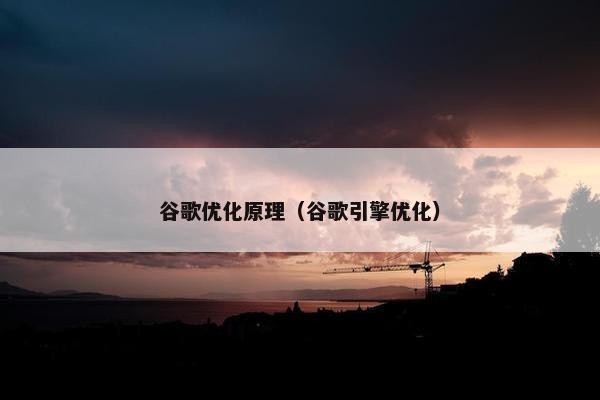 谷歌优化原理（谷歌引擎优化）