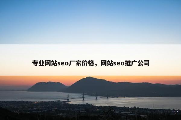 专业网站seo厂家价格，网站seo推广公司