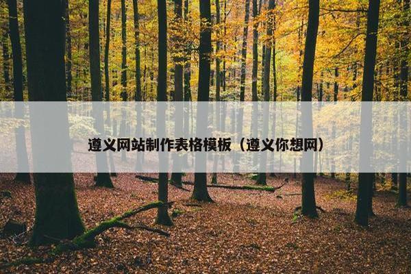 遵义网站制作表格模板（遵义你想网）