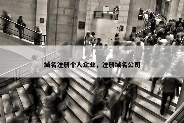 域名注册个人企业，注册域名公司
