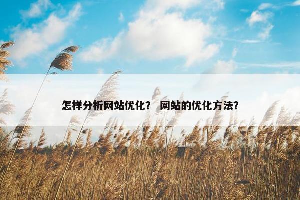 怎样分析网站优化？ 网站的优化方法？