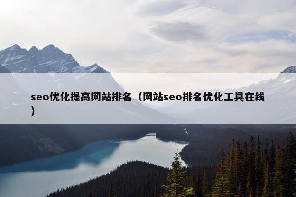 seo优化提高网站排名（网站seo排名优化工具在线）