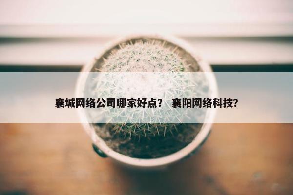 襄城网络公司哪家好点？ 襄阳网络科技？