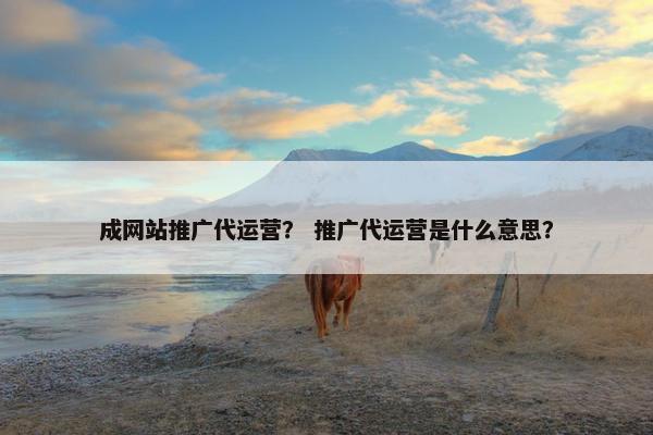 成网站推广代运营？ 推广代运营是什么意思？