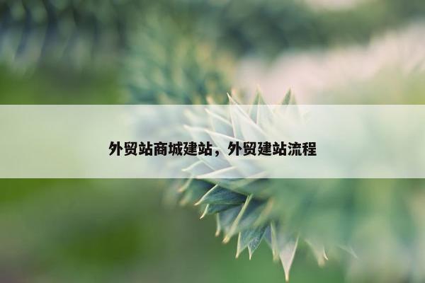 外贸站商城建站，外贸建站流程
