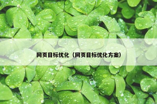 网页目标优化（网页目标优化方案）