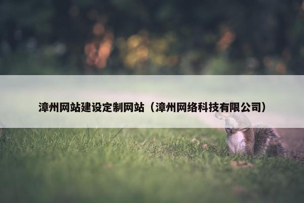 漳州网站建设定制网站（漳州网络科技有限公司）