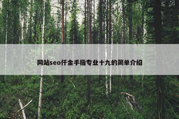 网站seo仟金手指专业十九的简单介绍