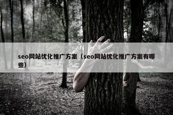 seo网站优化推广方案（seo网站优化推广方案有哪些）