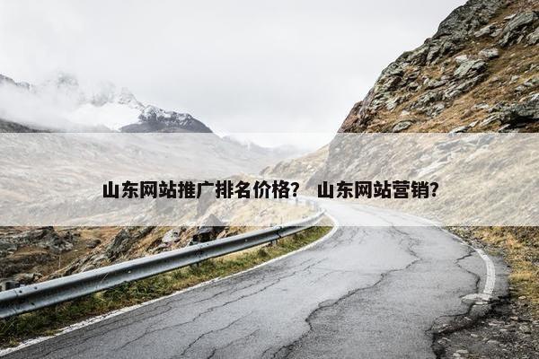 山东网站推广排名价格？ 山东网站营销？