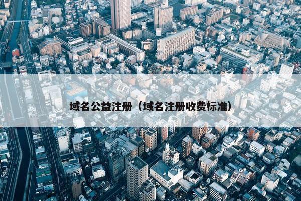 域名公益注册（域名注册收费标准）