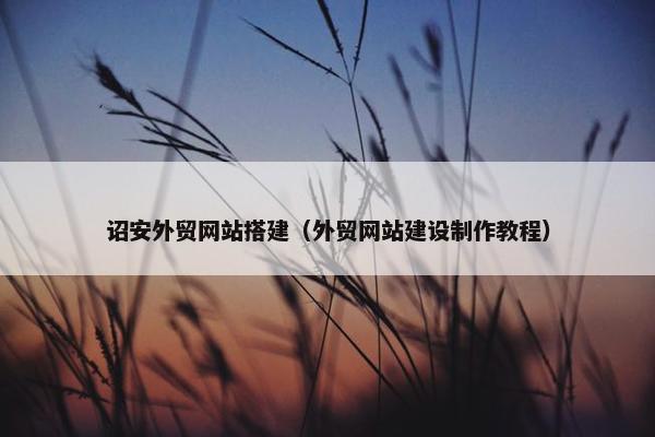 诏安外贸网站搭建（外贸网站建设制作教程）