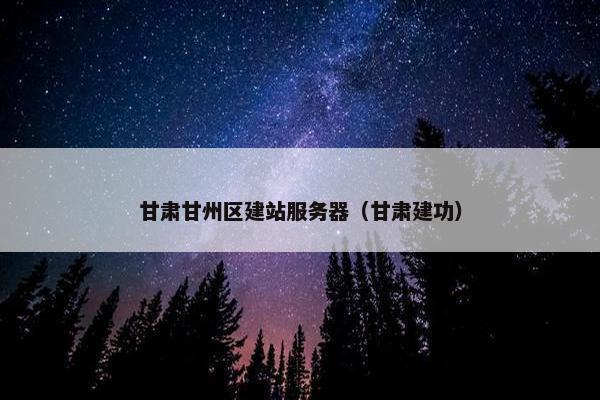 甘肃甘州区建站服务器（甘肃建功）