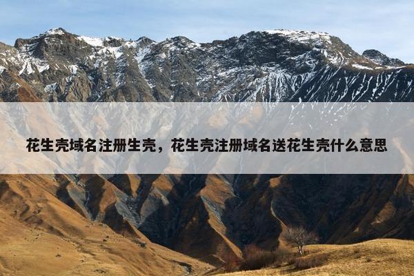 花生壳域名注册生壳，花生壳注册域名送花生壳什么意思