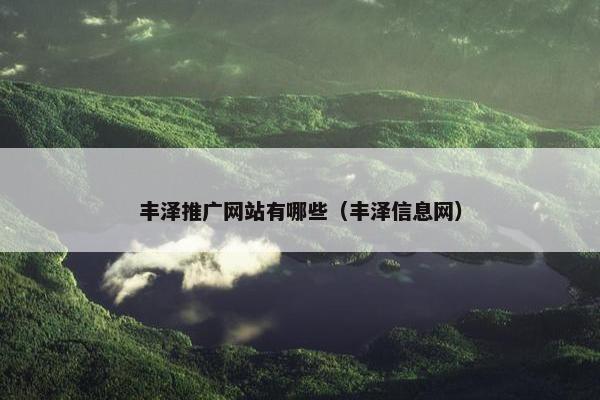 丰泽推广网站有哪些（丰泽信息网）